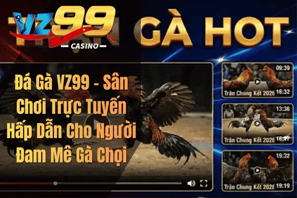 Đá Gà VZ99 – Sân Chơi Trực Tuyến Hấp Dẫn Cho Người Đam Mê Gà Chọi