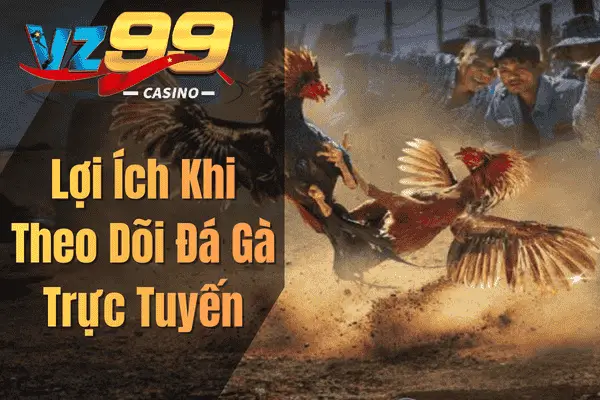 Lợi Ích Khi Theo Dõi Đá Gà Trực Tuyến