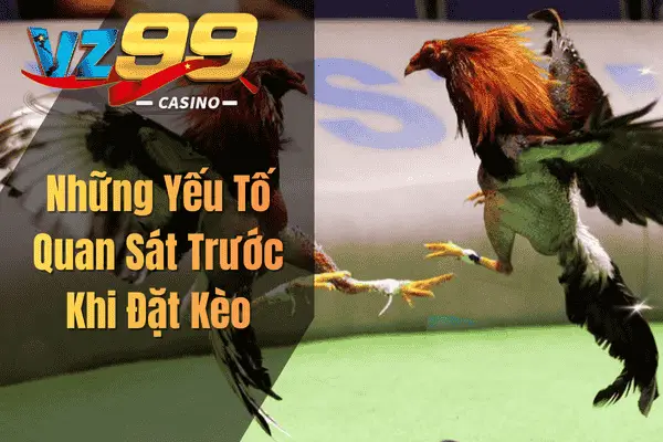 Những Yếu Tố Quan Sát Trước Khi Đặt Kèo